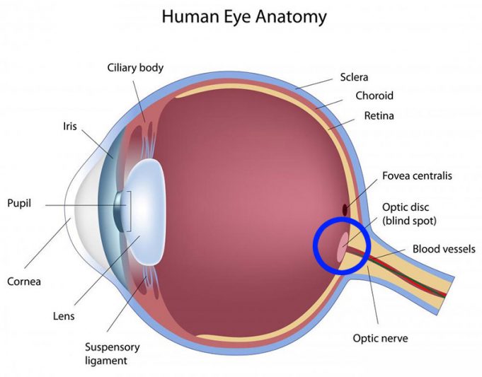 Blind Spots In Personal Growth