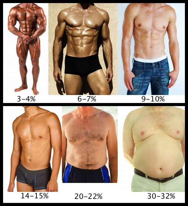 different body fat percentages pictures