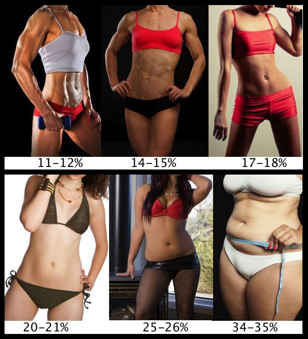 Body fat percentage  for women