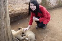 Celes stroking a lion cub in Johannesburg, South Africa