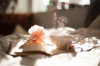 A teacup with a book