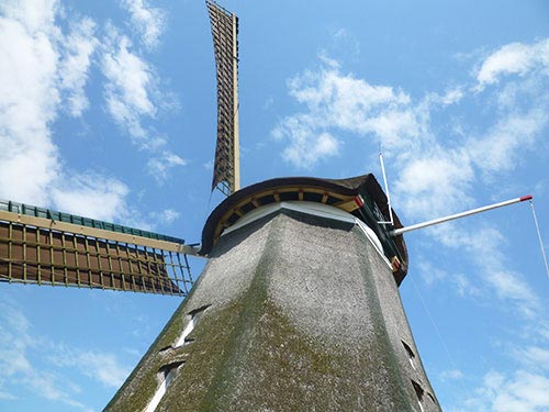 Wind Mill in Holland