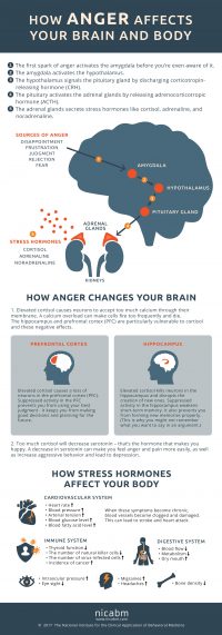 How Anger Affects the Brain and Body [Infographic]