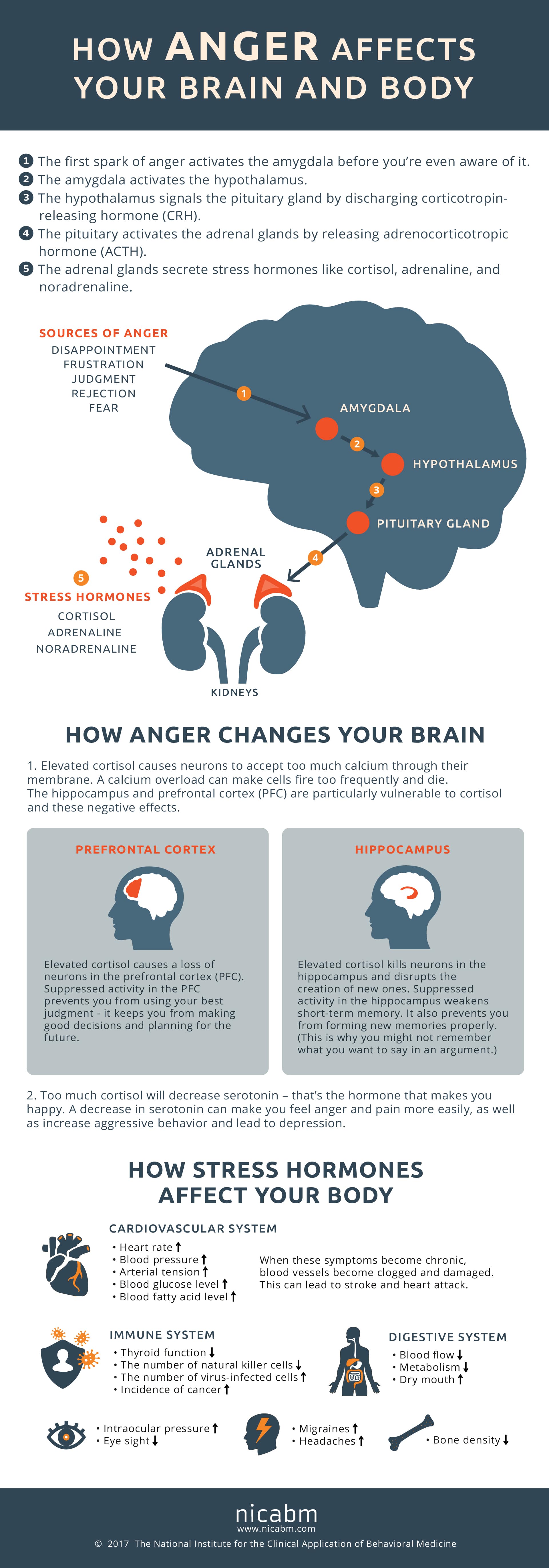 How Anger Affects the Brain and Body [Infographic] | The Personal ...
