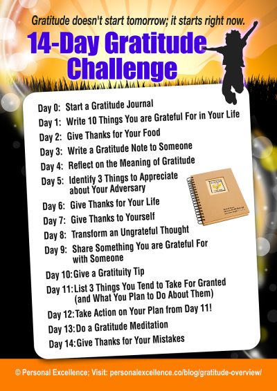 14-Day Gratitude Challenge [Manifesto] - Personal Excellence