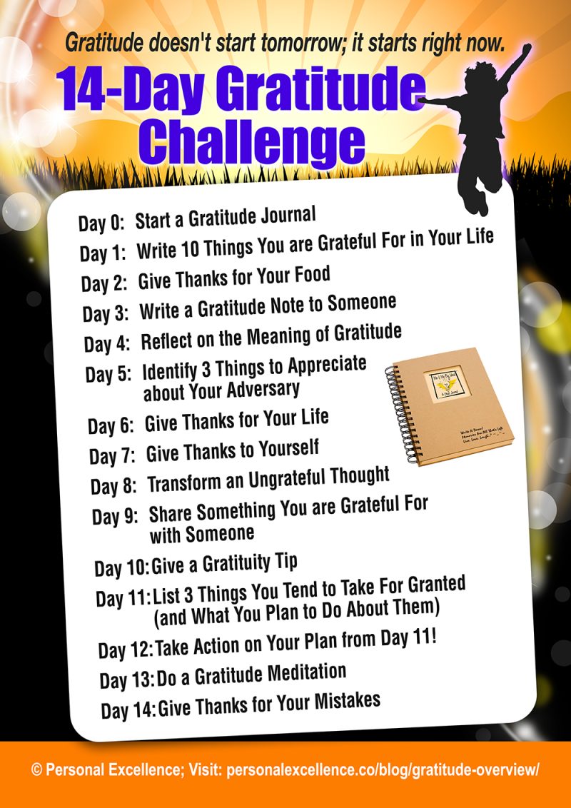 14Day Gratitude Challenge [Manifesto] Personal Excellence