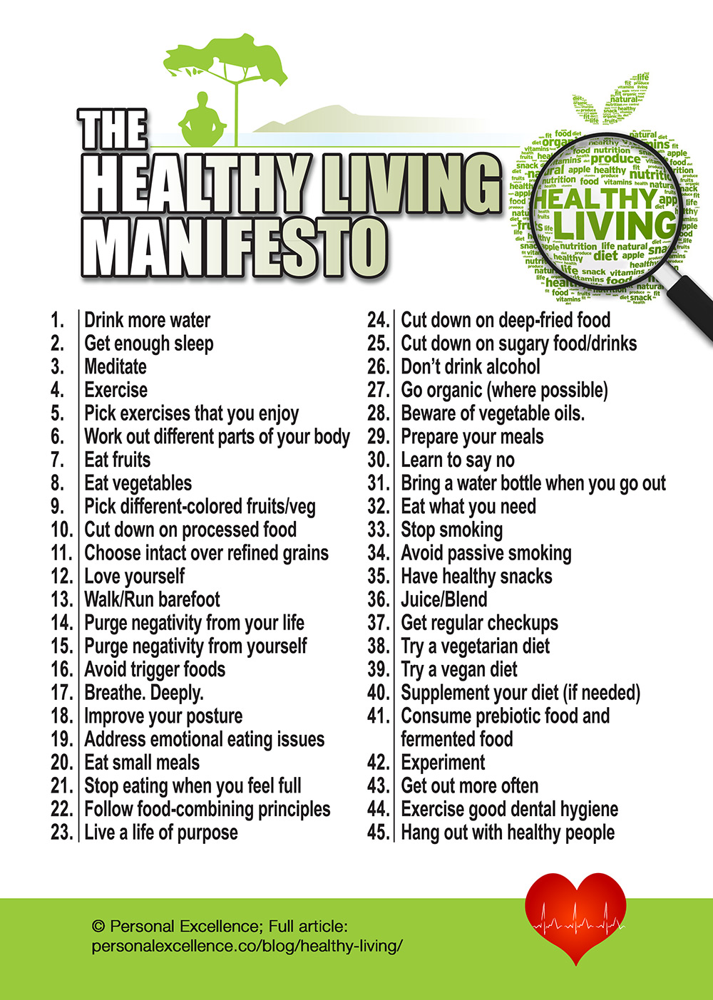 The Healthy Living Manifesto [Manifesto] - Personal Excellence