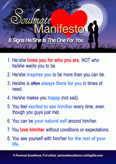 the-soulmate-manifesto-manifesto-personal-excellence