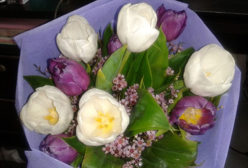 Bouquet of Tulips